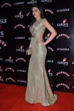 Kriti Sanon at Sansui Stardust Awards red carpet in Mumbai on 14th Dec 2014